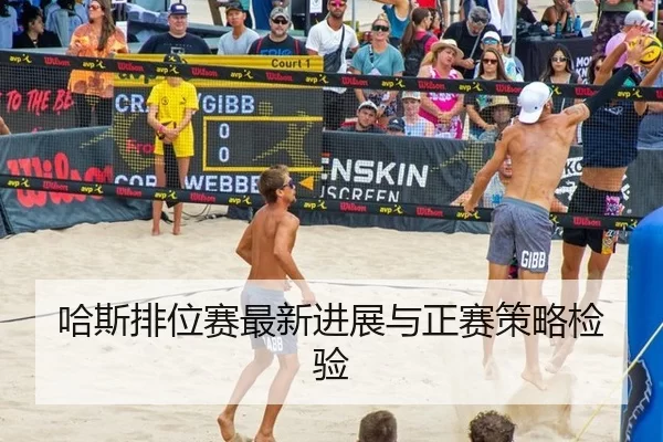 哈斯排位赛最新进展与正赛策略检验